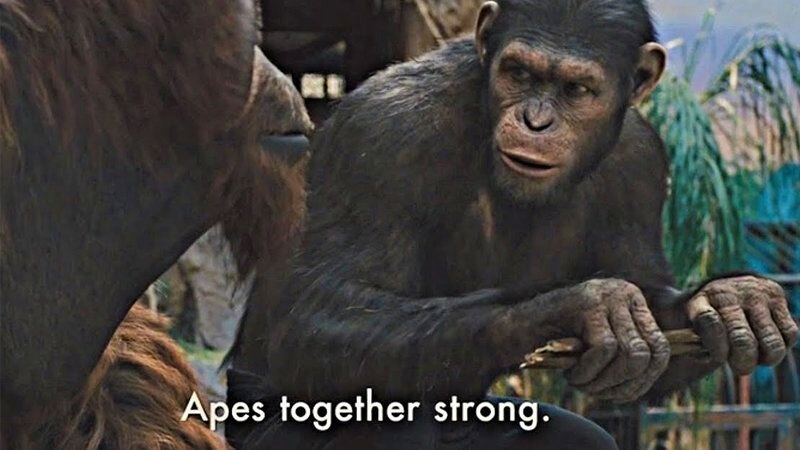 apes-together-strong.jpeg